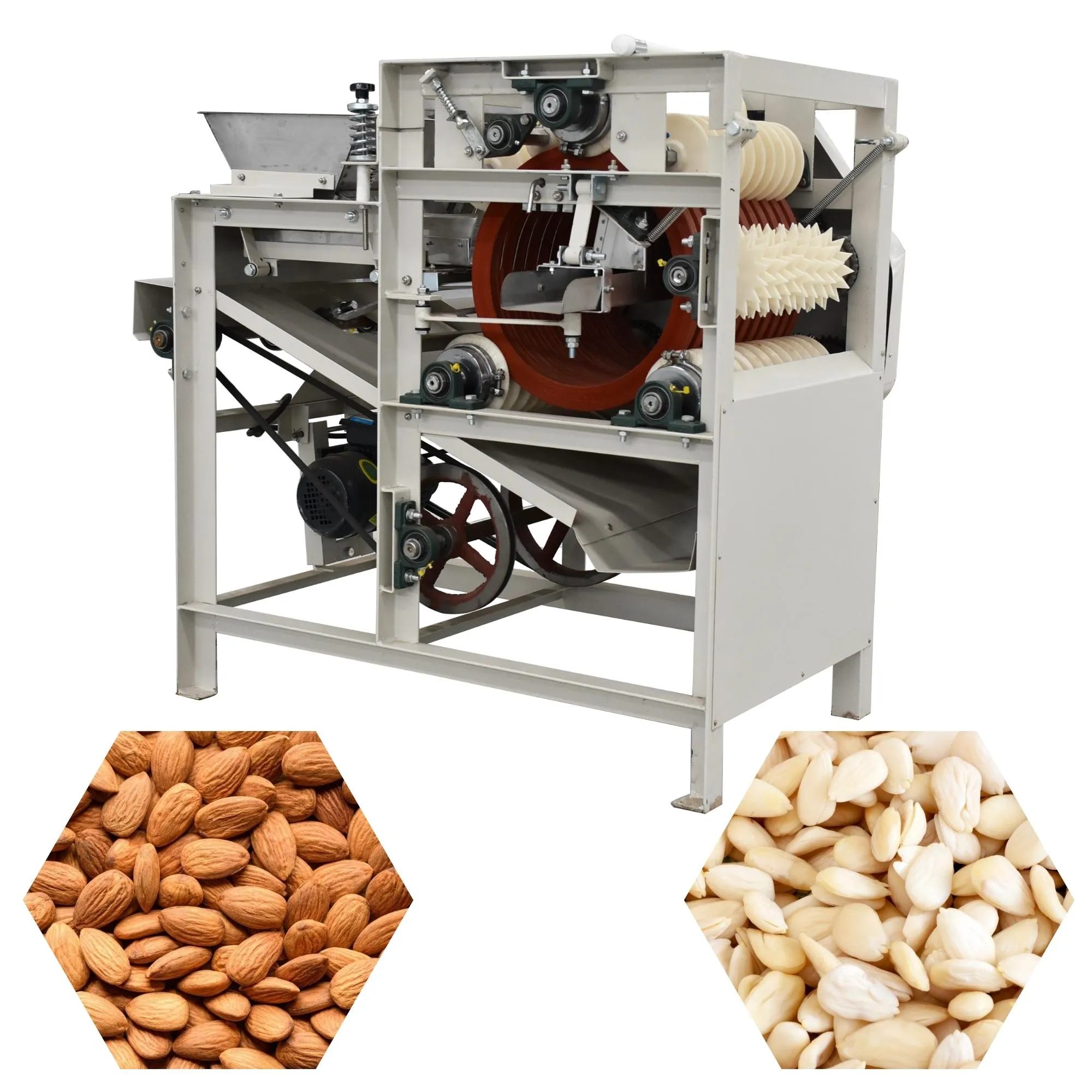 Wet Type Almond Peeling Machine  Compact Nut Peeling Machine Suitable for  Almonds Peanuts and Other Nuts